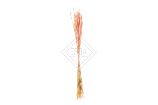 BOUQUET 50G PAMPAS NATURALE ROSA (80cm)